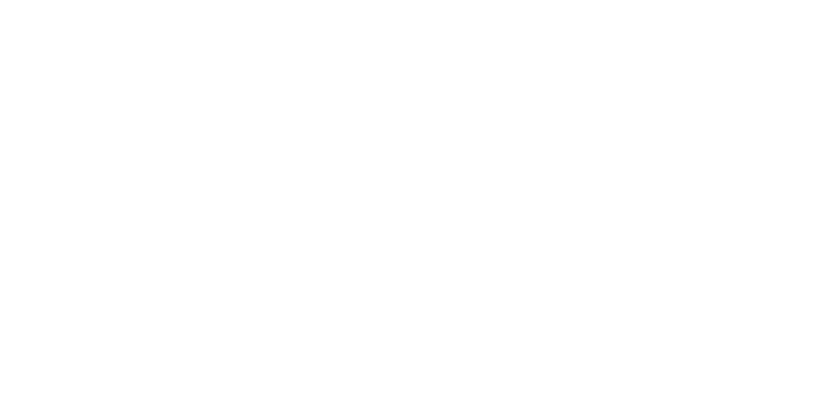 Azeem 2024. A vision to vote for!